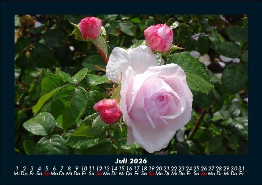 additionalImage11