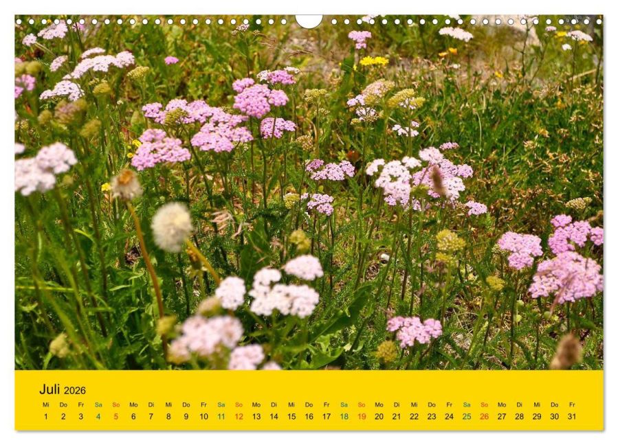 additionalImage12