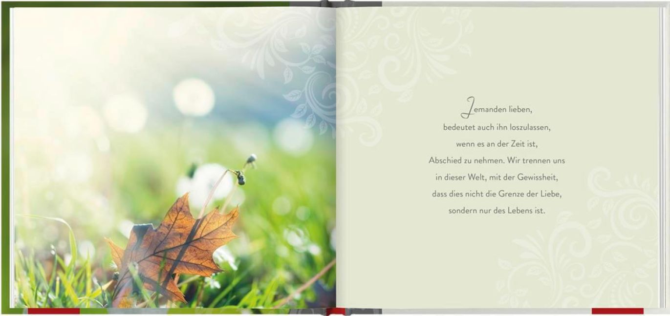 additionalImage1