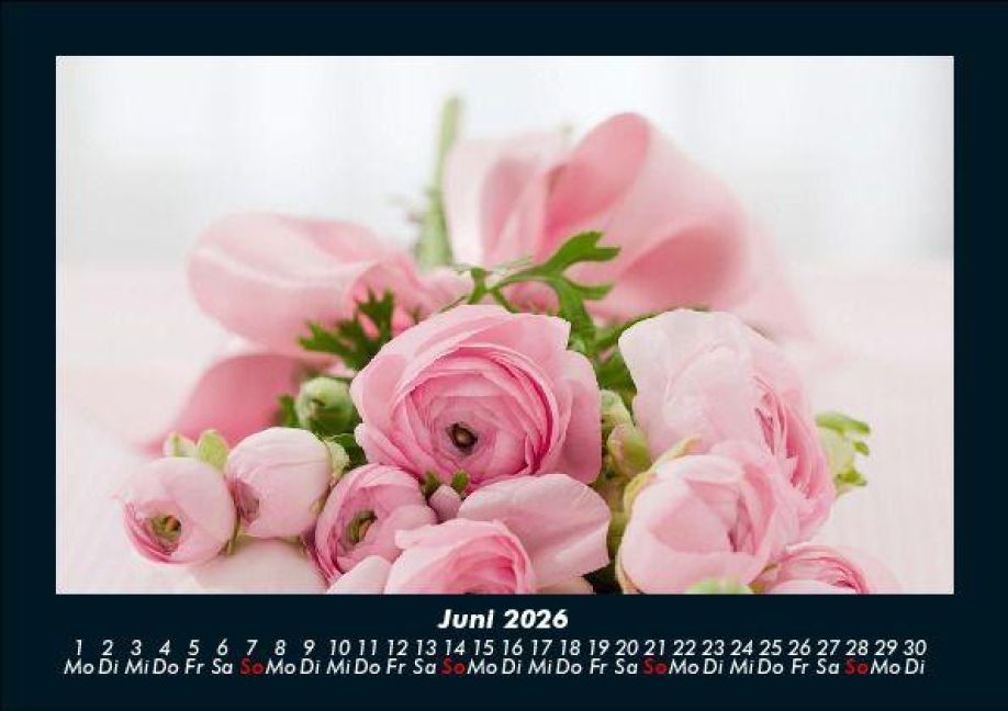 additionalImage10