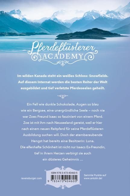 additionalImage1