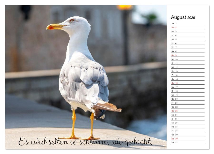 additionalImage13