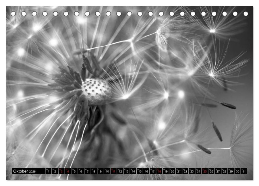 additionalImage2