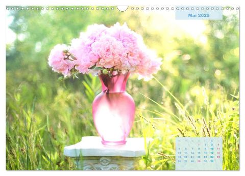 additionalImage7