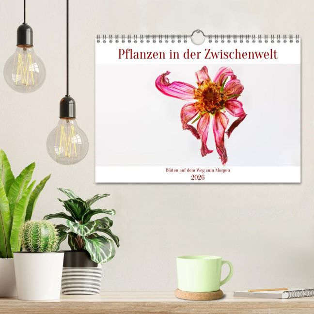 additionalImage1