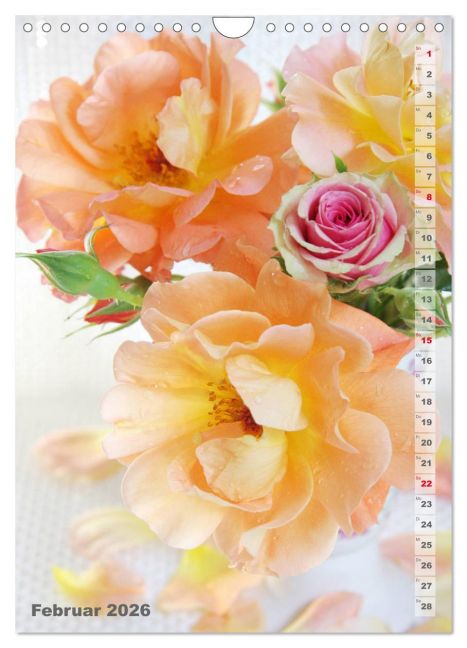additionalImage7