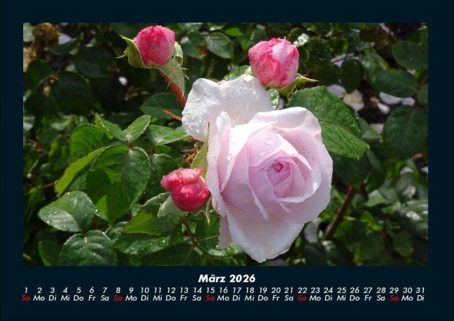 additionalImage7