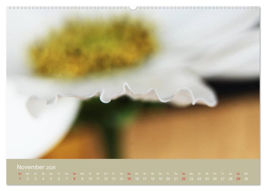 additionalImage2