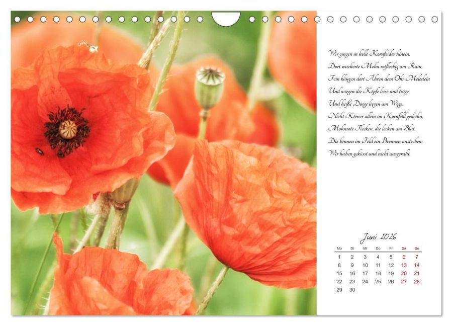 additionalImage11
