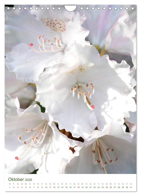 additionalImage2