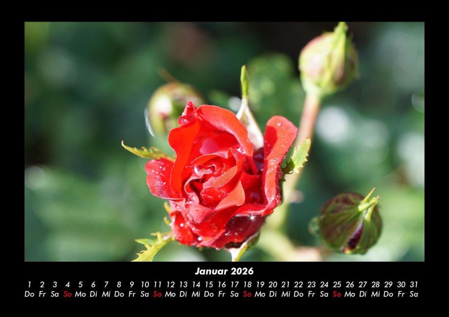 additionalImage5