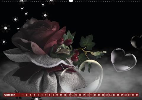 additionalImage10