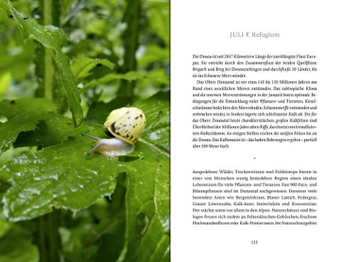additionalImage17