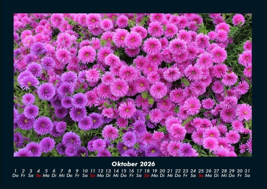 additionalImage2