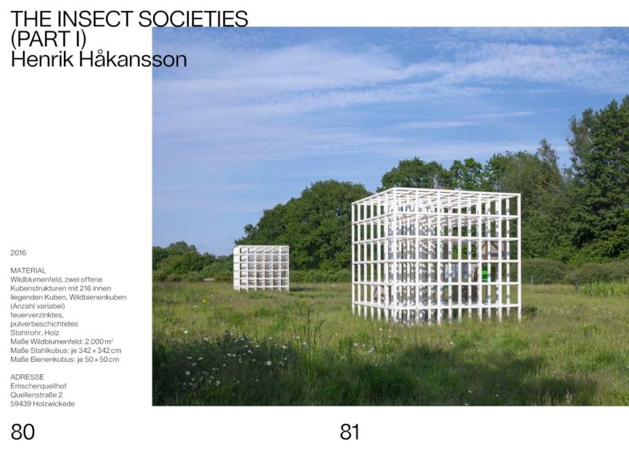 additionalImage11