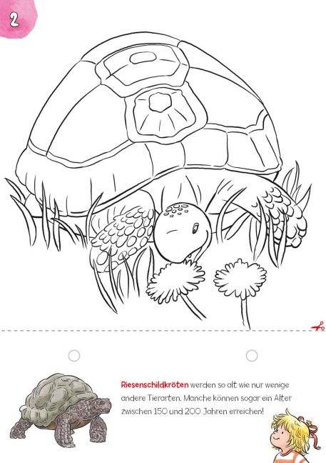 additionalImage3