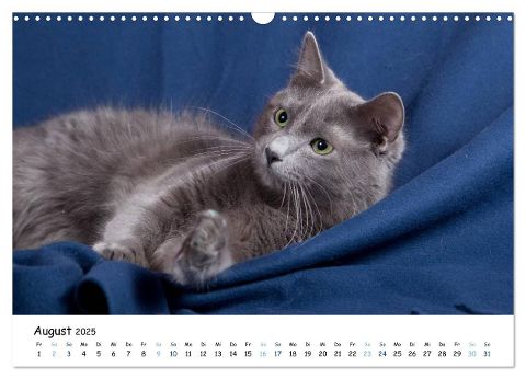 additionalImage13