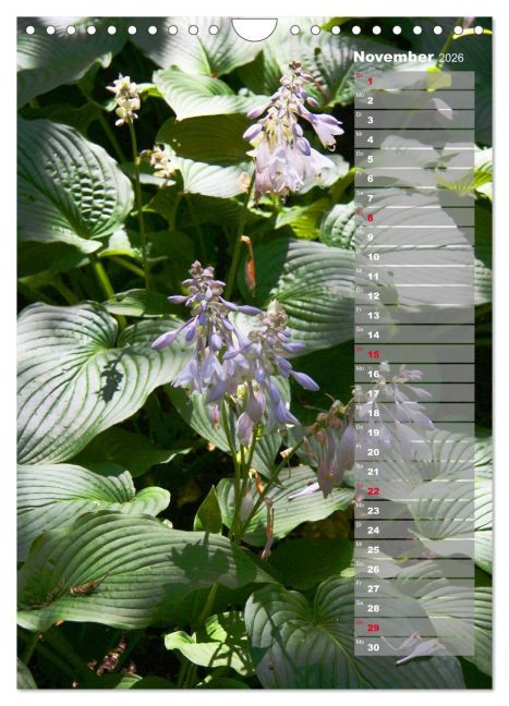 additionalImage3