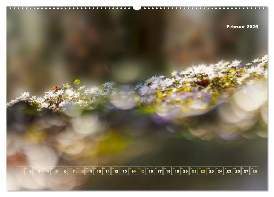 additionalImage6