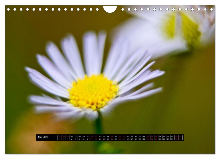 additionalImage10