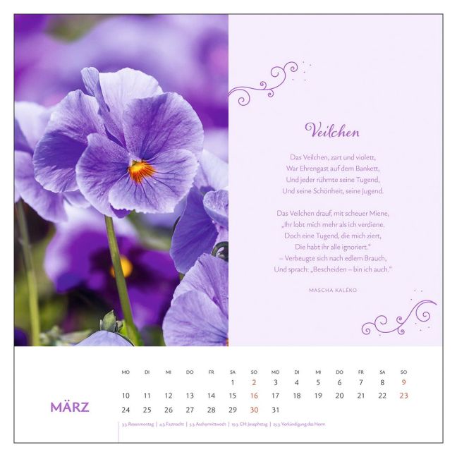 additionalImage1