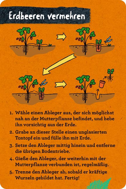 additionalImage4
