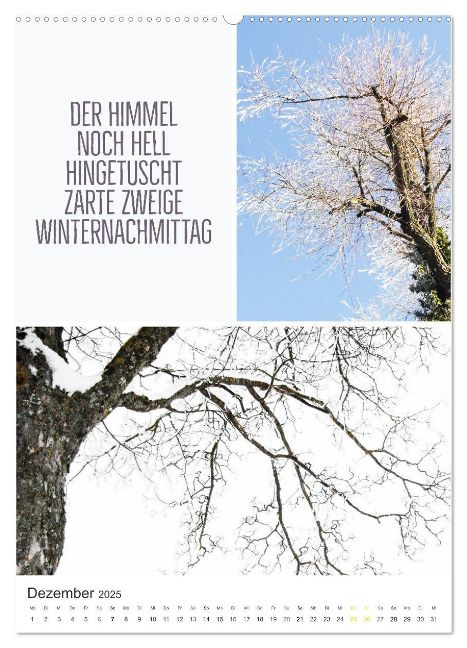 additionalImage4
