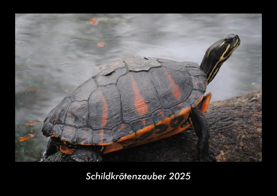 Schildkrötenzauber 2025 Fotokalender DIN A3 - Tobias Becker