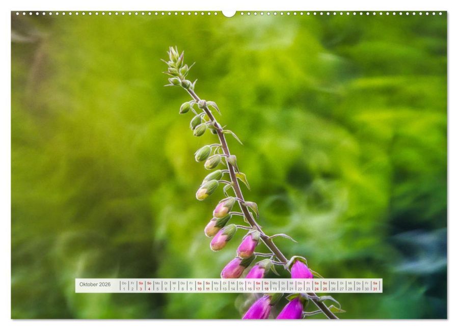 additionalImage1