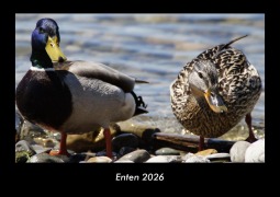 Cover-Bild zum Titel 'Enten 2026 Fotokalender DIN A3' von 'Tobias Becker'
