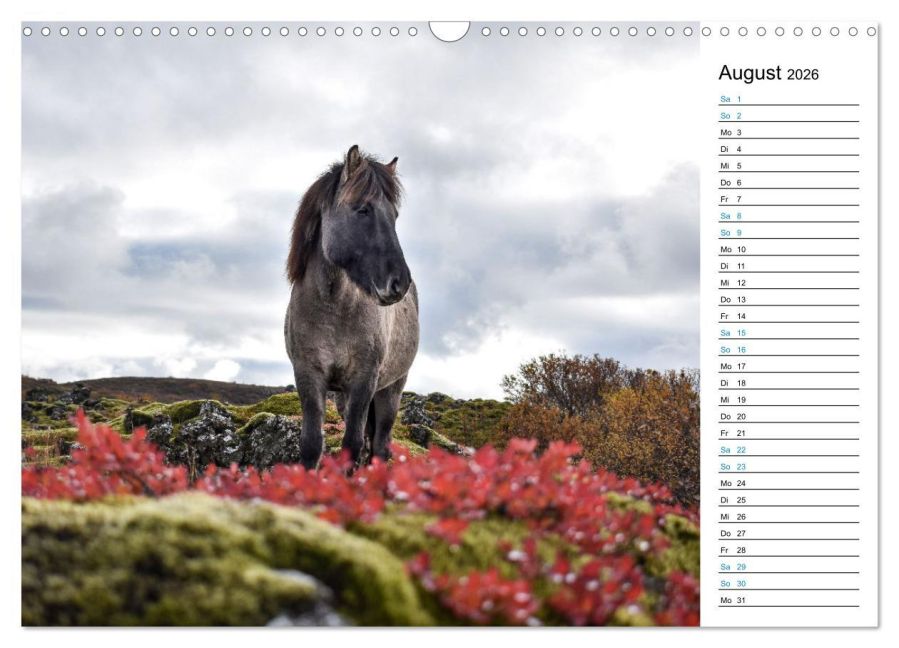 additionalImage13