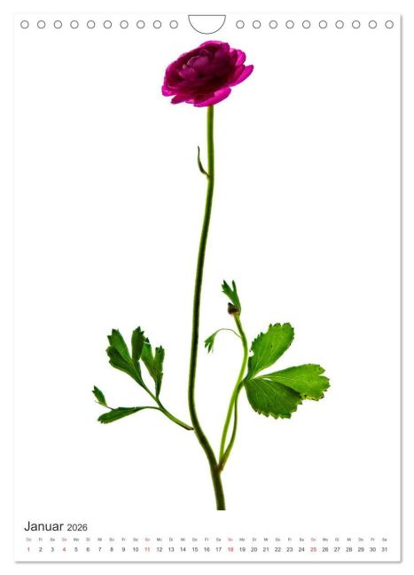 additionalImage6