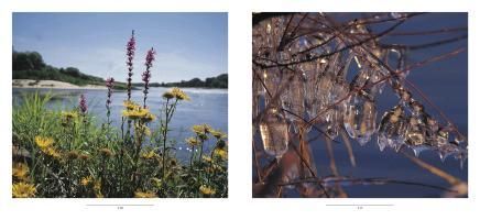 additionalImage2