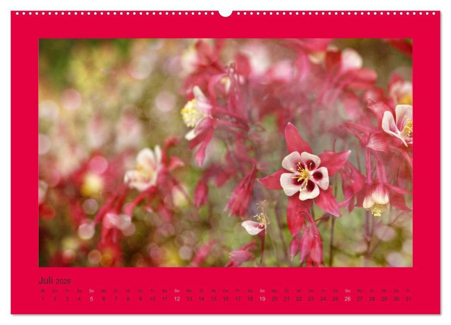 additionalImage11