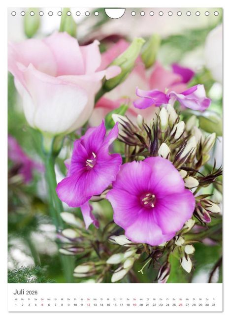 additionalImage12