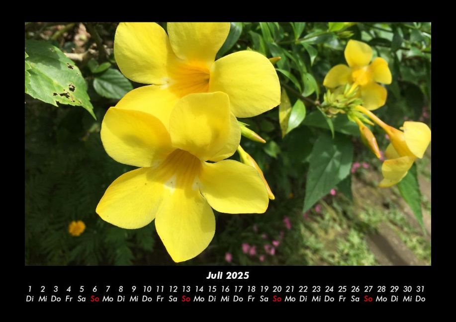 additionalImage11