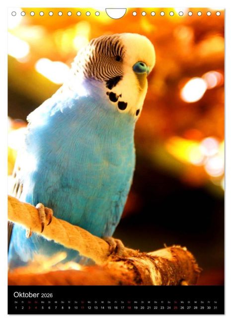additionalImage2