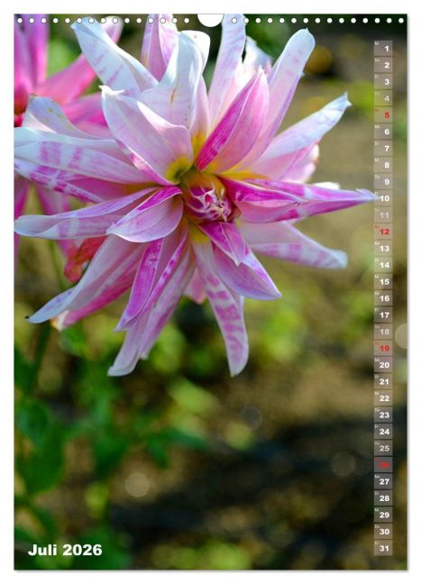 additionalImage12
