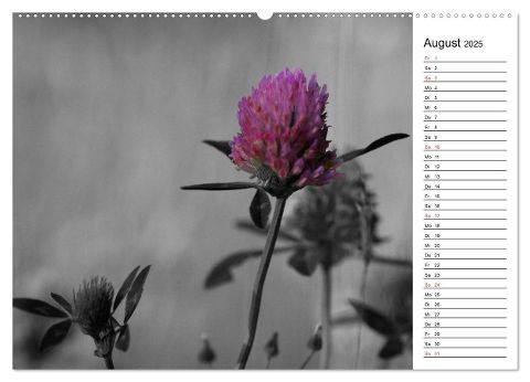 additionalImage12