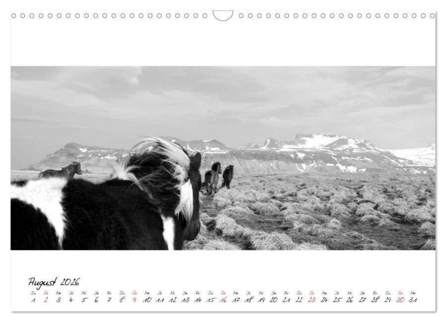 additionalImage13