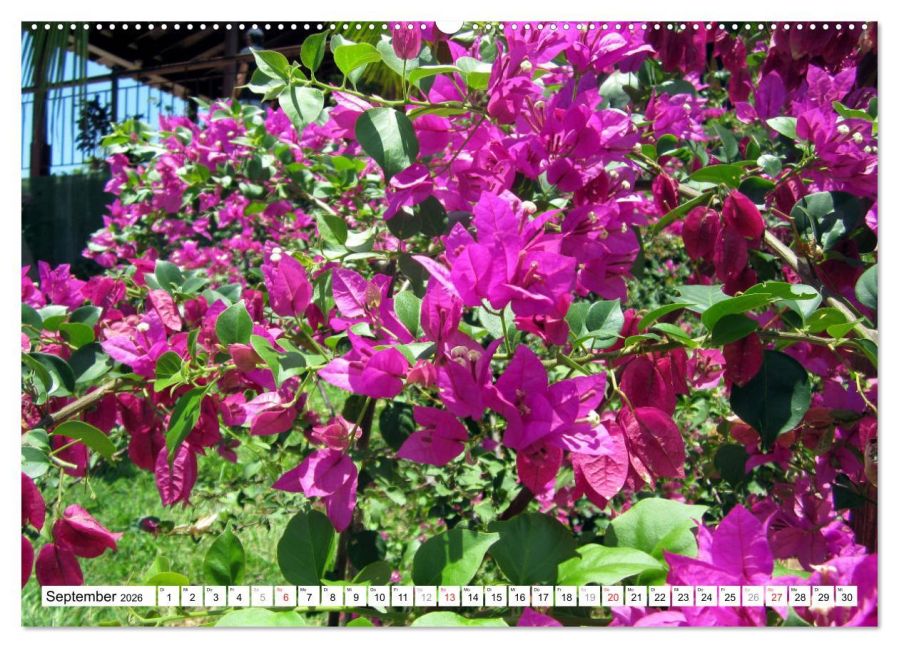 additionalImage14