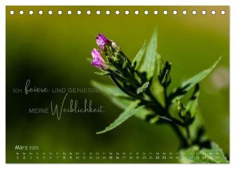 additionalImage8