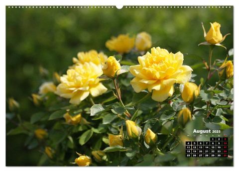 additionalImage12