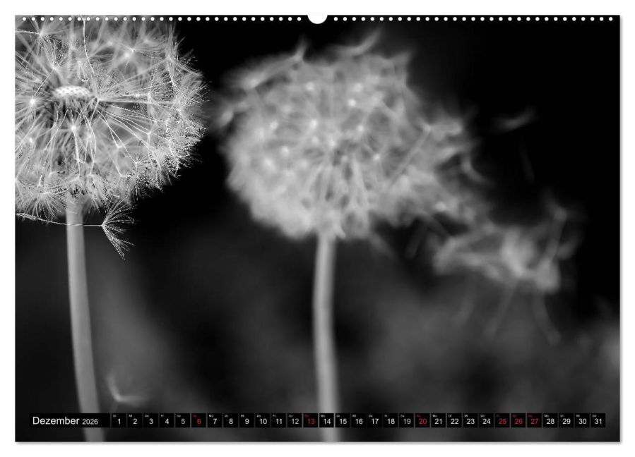 additionalImage3