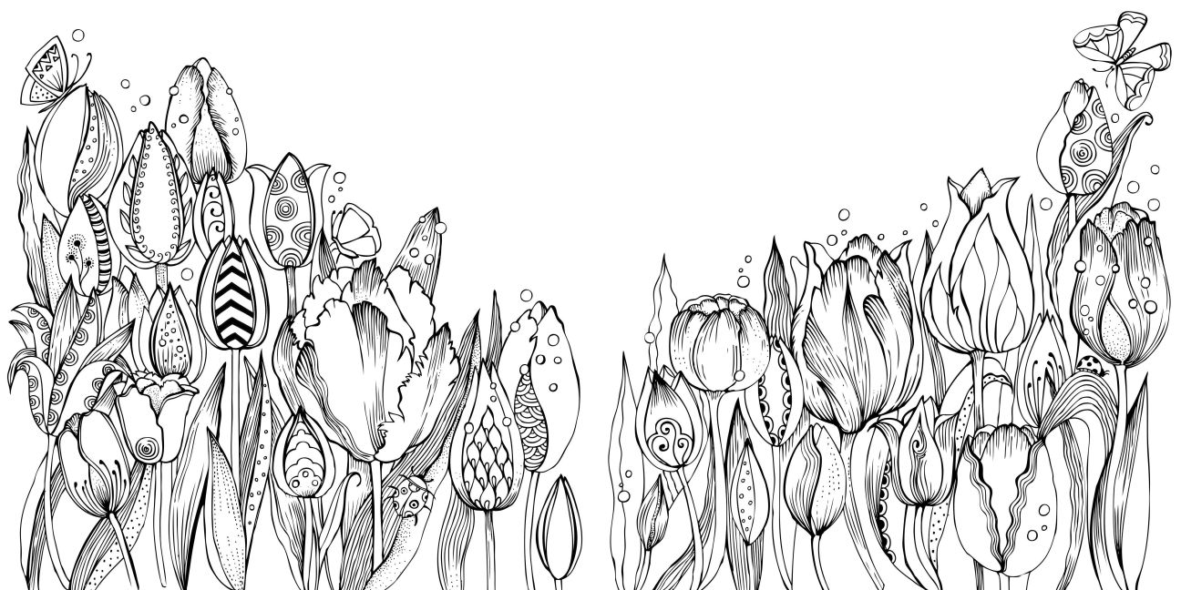 additionalImage4