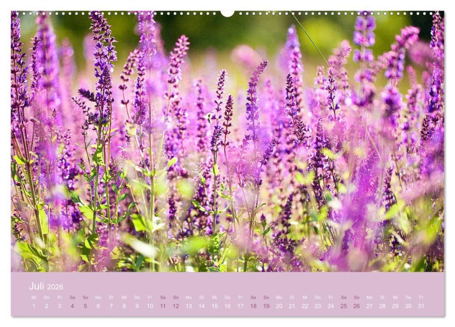 additionalImage11