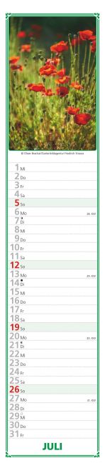 additionalImage13