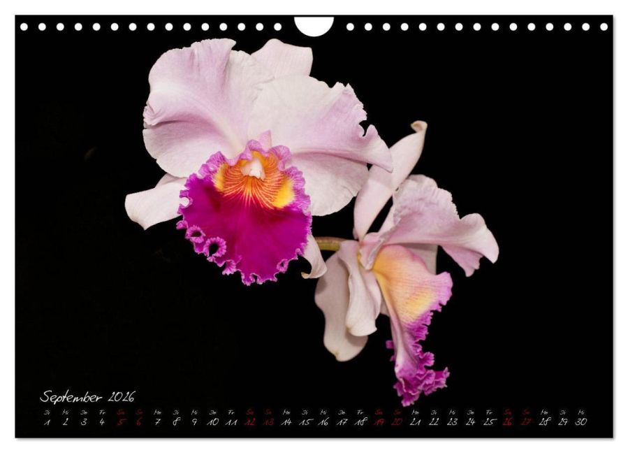 additionalImage14