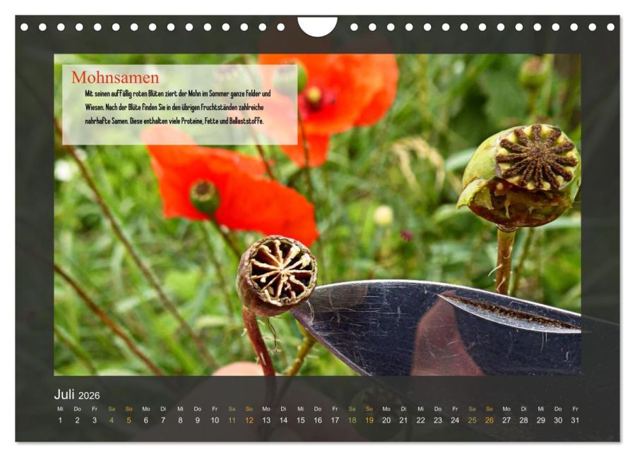 additionalImage12