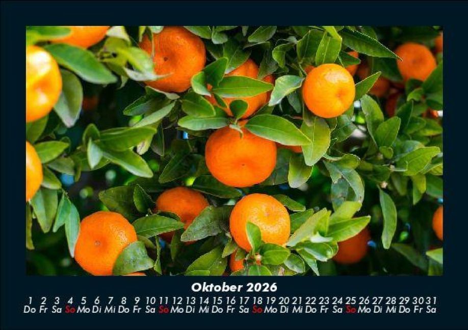 additionalImage2